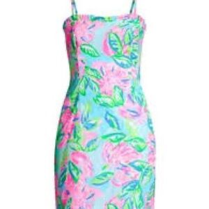 NWT Lily Pulitzer Brenda Stretch Dress!